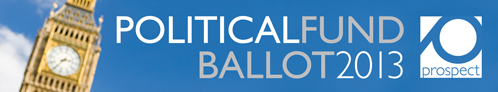 Political fund ballot 2013