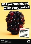 WorkTime YourTime: Will your Blackberry make you crumble