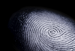 single fingerprint
